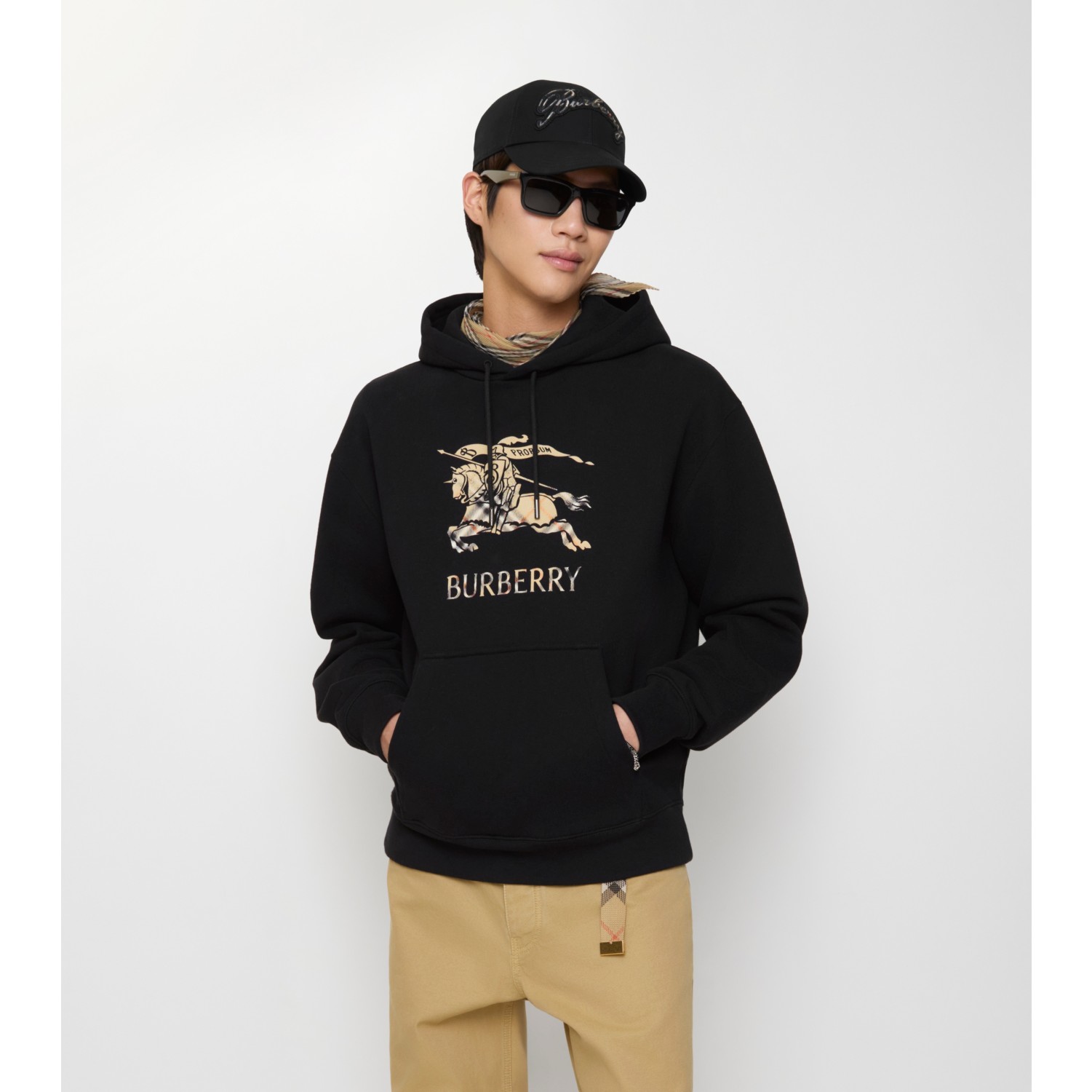 渐变马术骑士徽标棉质连帽衫