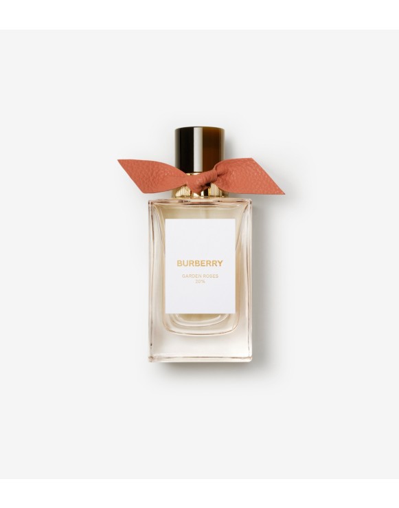 Burberry women's perfume on sale