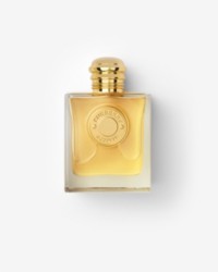 Burberry银色扣环风衣图片
