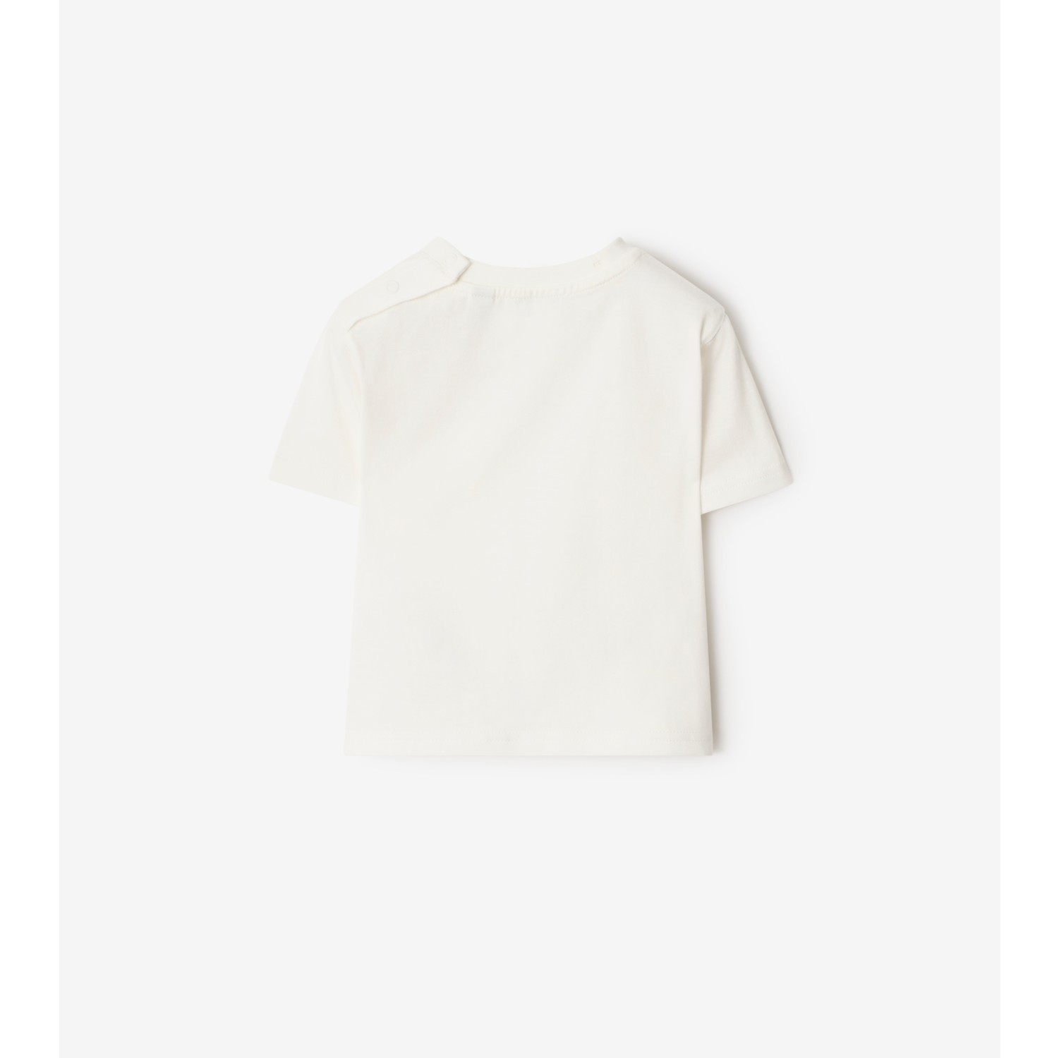 冲浪泰迪熊印花棉质 T 恤衫