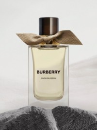 Burberry高定香氛凛冬之花