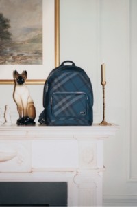 海军蓝Orkney翻盖式双肩包和Orkney腰包出镜