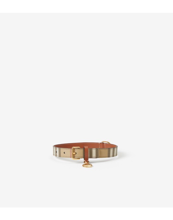 中号格纹犬用项圈