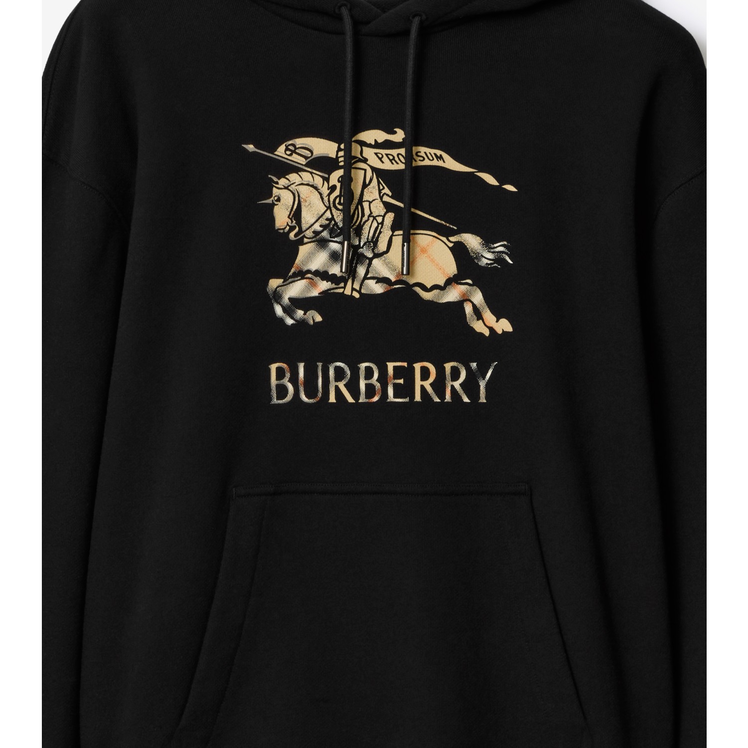 渐变马术骑士徽标棉质连帽衫