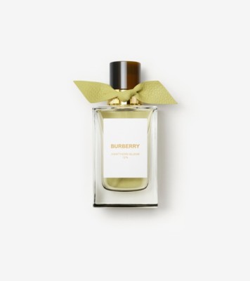 BURBERRY バーバリー ウィークエンドフォーメンEDT 100ml SP
