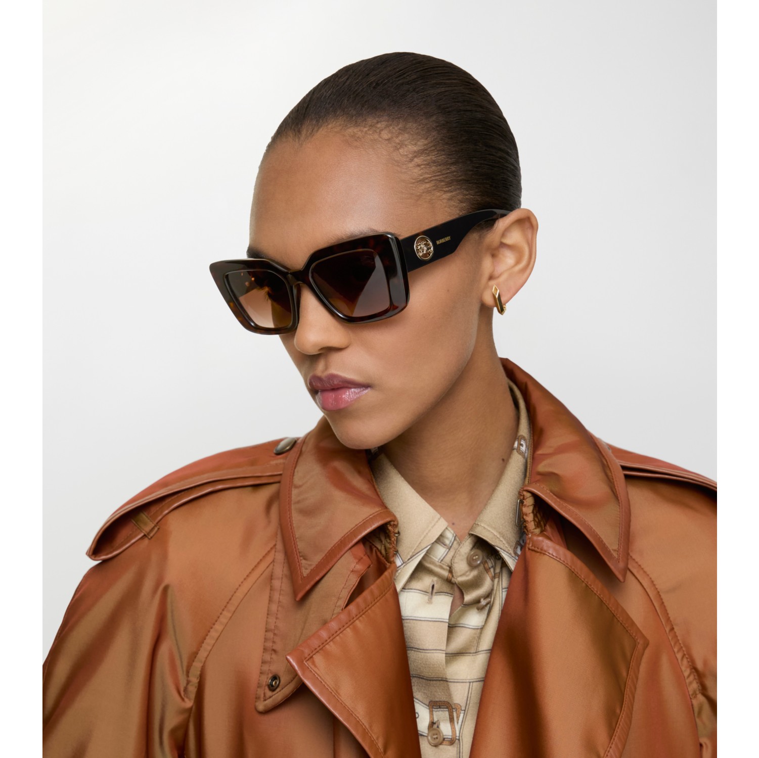 马术骑士徽标猫眼太阳眼镜