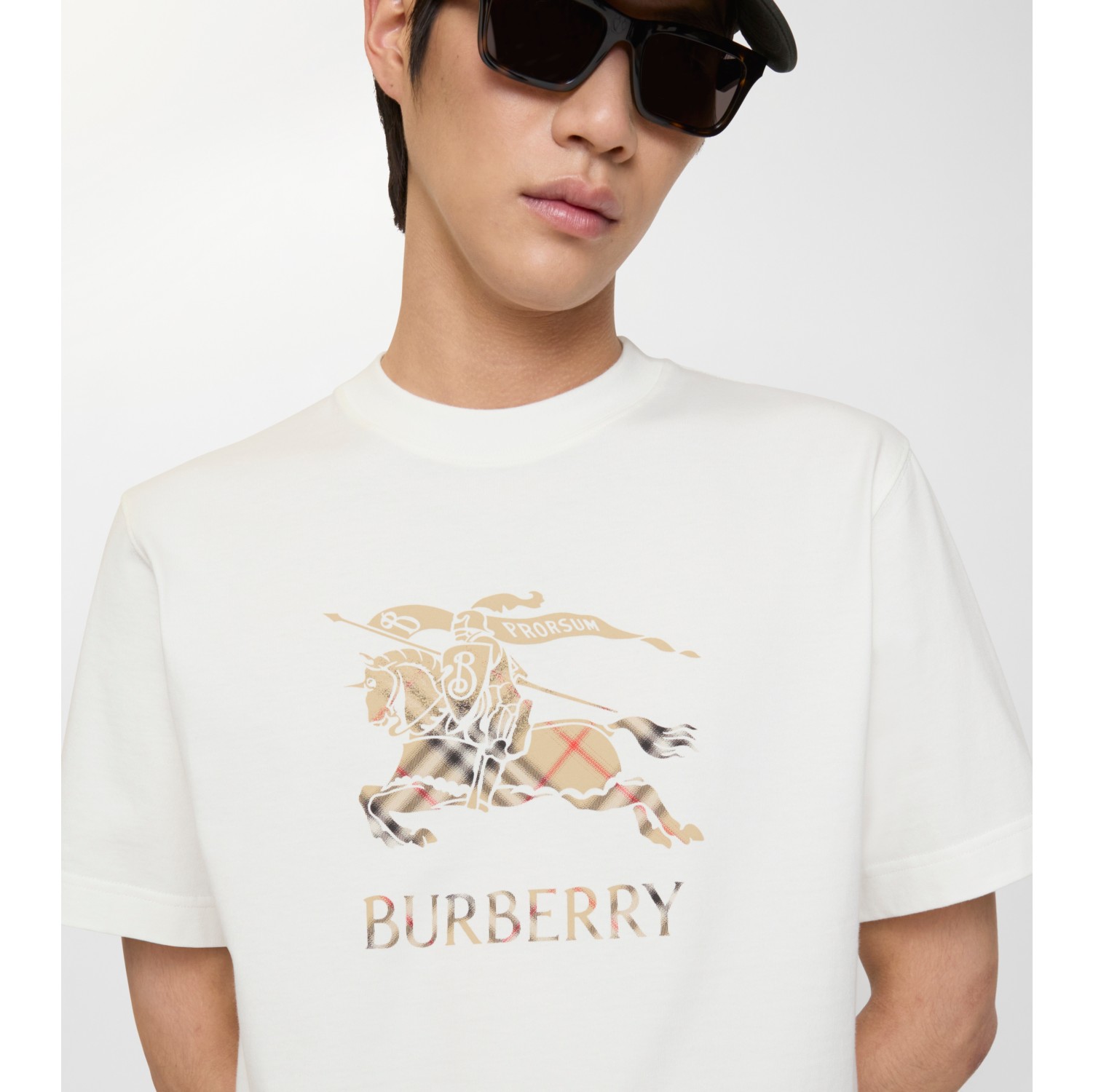 渐变马术骑士徽标棉质 T 恤衫