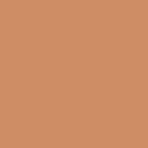 桃花心木色 06 号