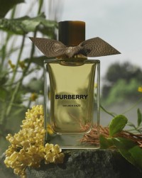 Burberry高定香氛系列，鎏金柔雾香氛瓶和水泽金盏花
