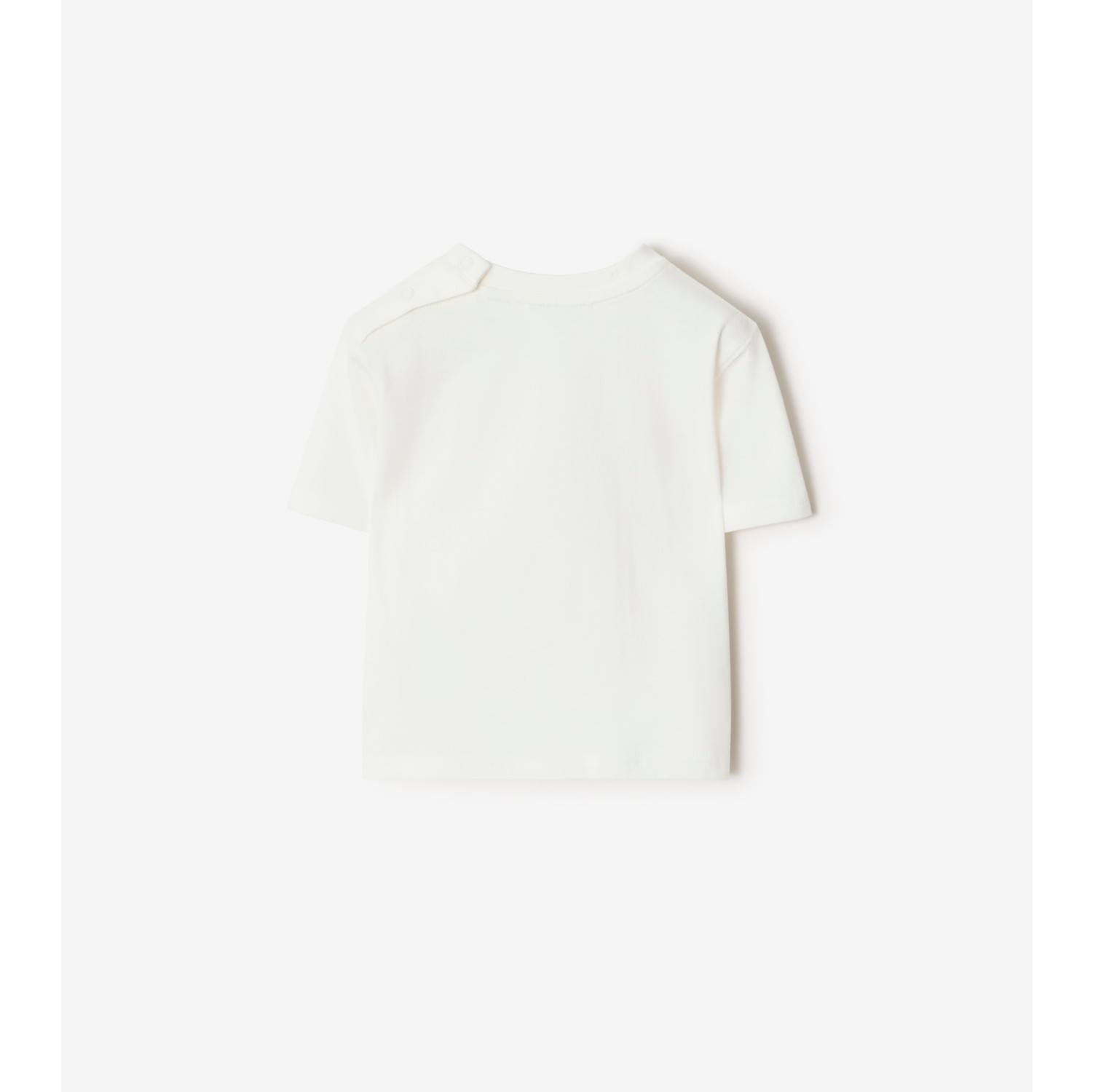 冲浪泰迪熊印花棉质 T 恤衫