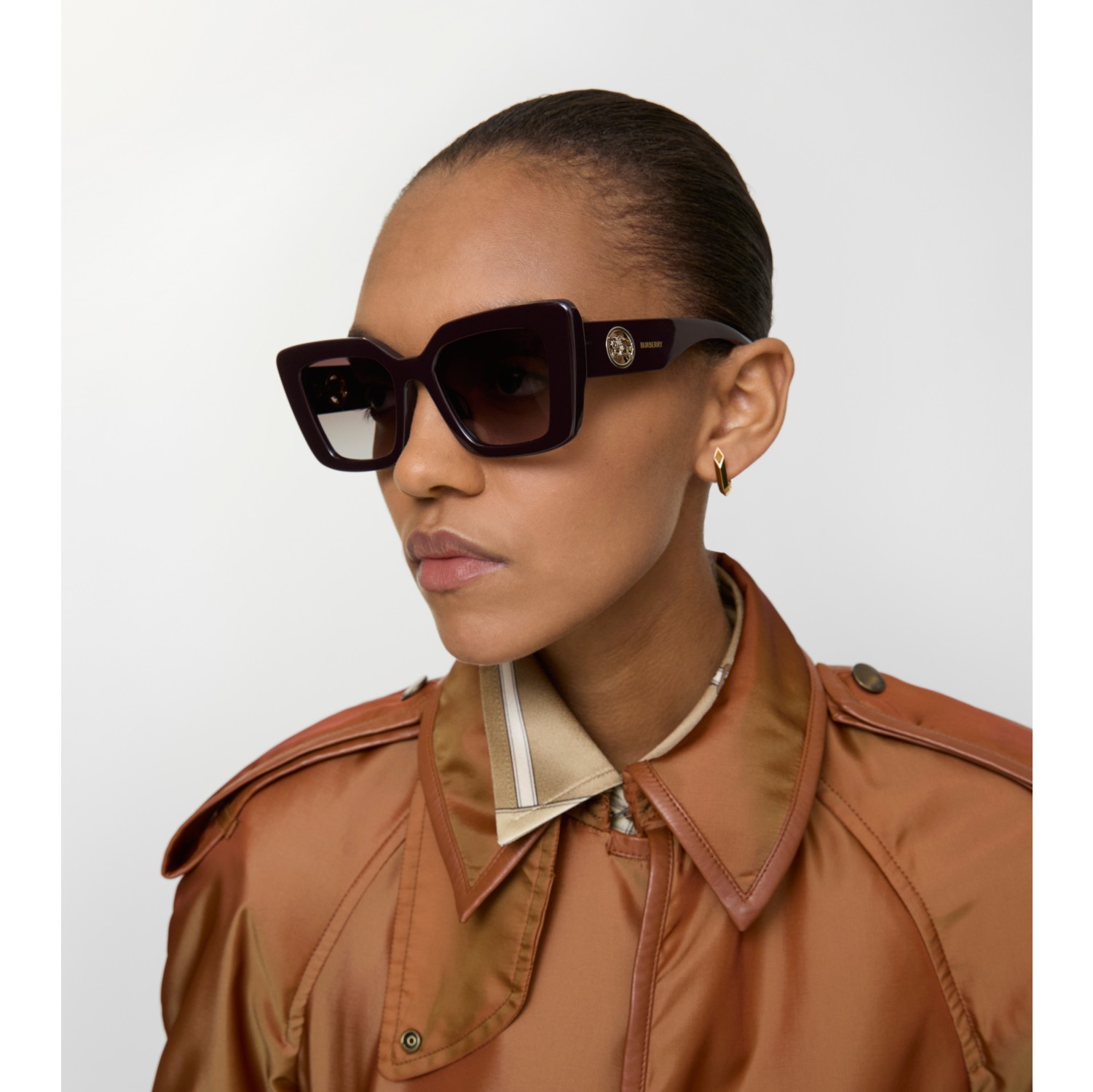 马术骑士徽标猫眼太阳眼镜