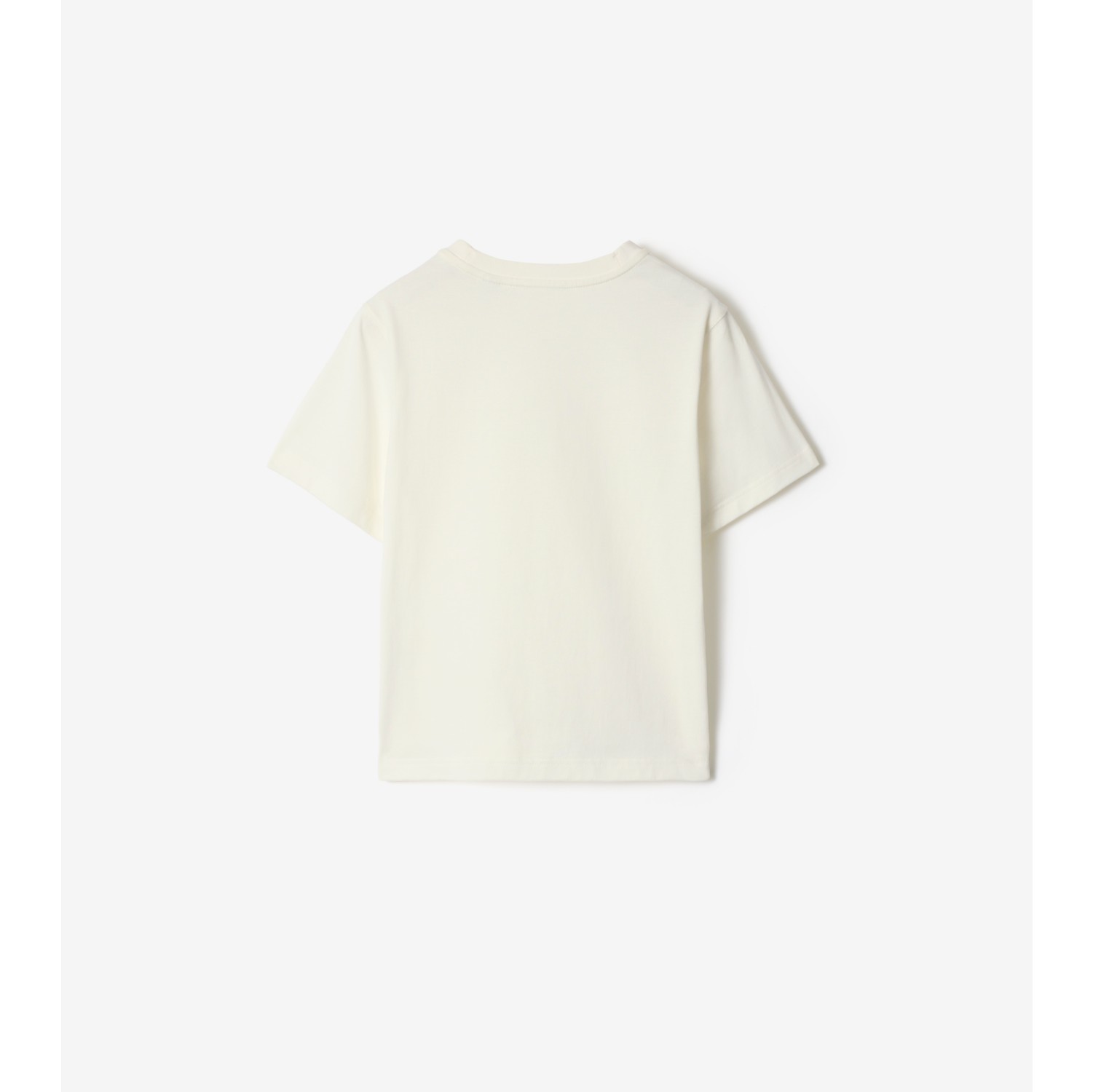 冲浪泰迪熊印花棉质 T 恤衫