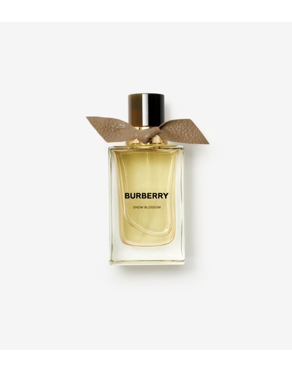 Burberry cn on sale